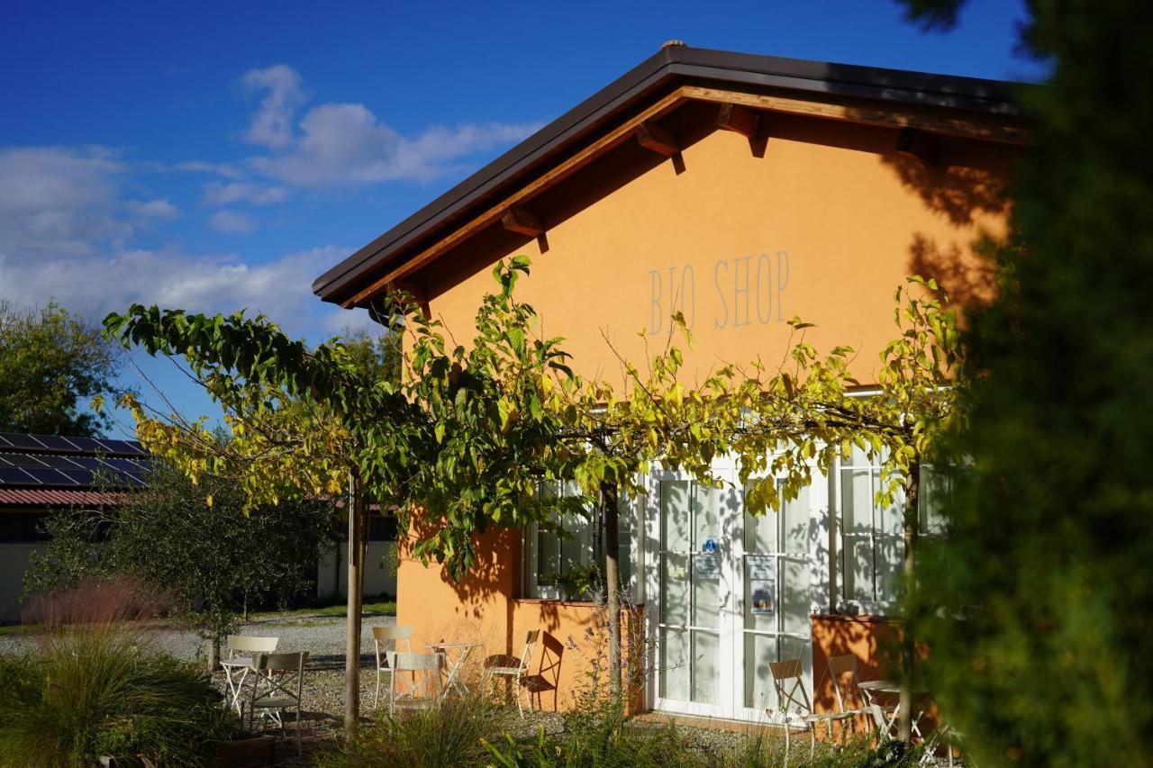 Bioagriturismo Il Cerreto โปมารันเช ภายนอก รูปภาพ